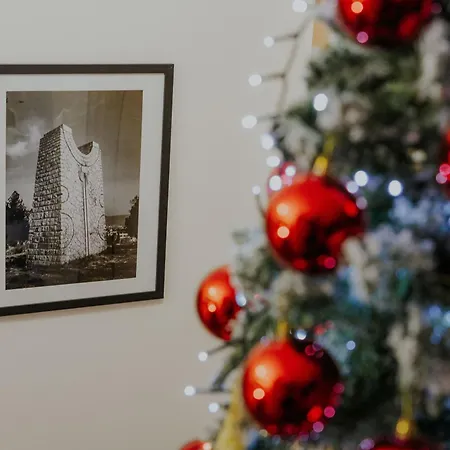 Apart Otel Iskra House - Sobe I Vlasotince