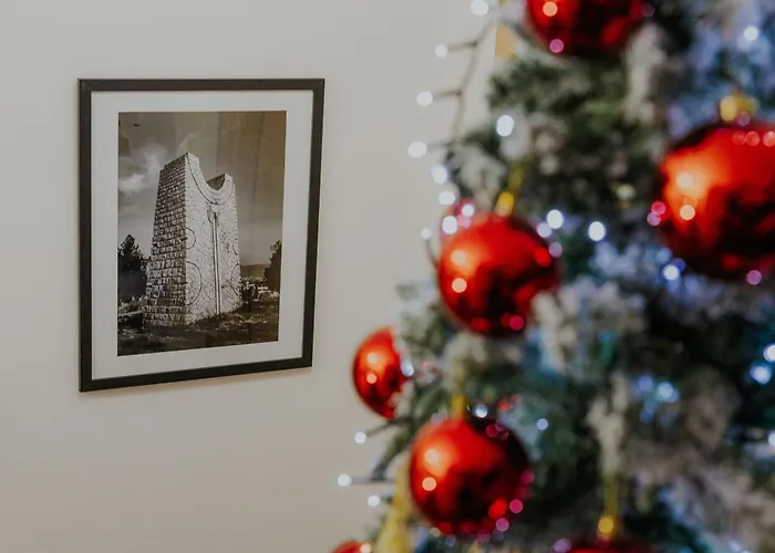 Hotel apartamentowy Iskra House - Sobe I Vlasotince